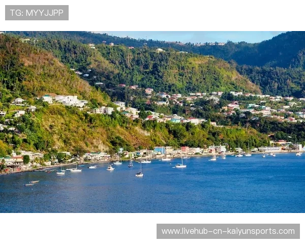 格林纳达羽毛球运动逐渐普及，格林纳达奥运冠军